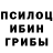Псилоцибиновые грибы GOLDEN TEACHER Ilya Bainov